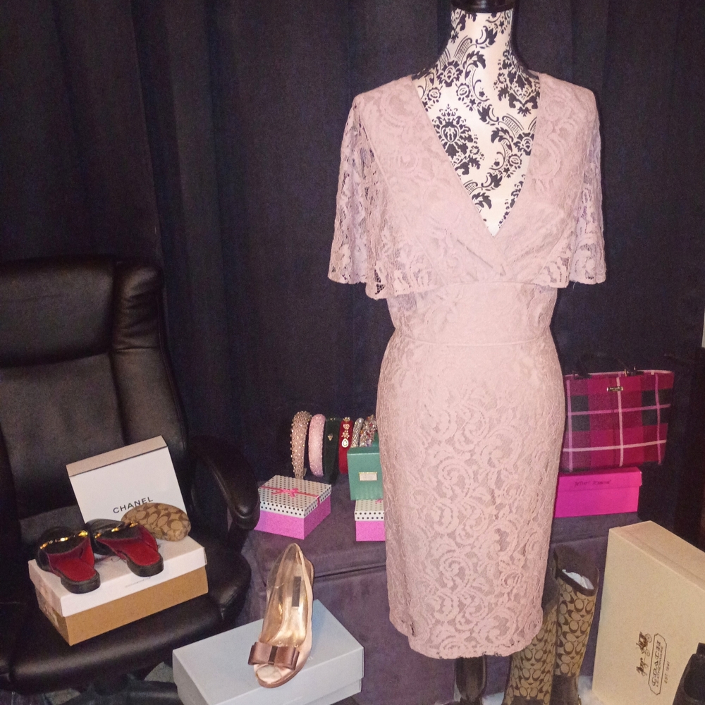 Adrianna Papell Lace Midi Dress in Blush